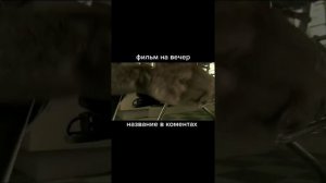 Дом восковых фигур (2005г.).
