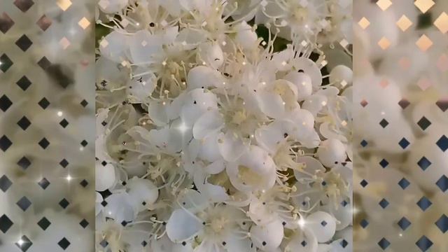 Красота весеннего вечера. смотреть онлайн