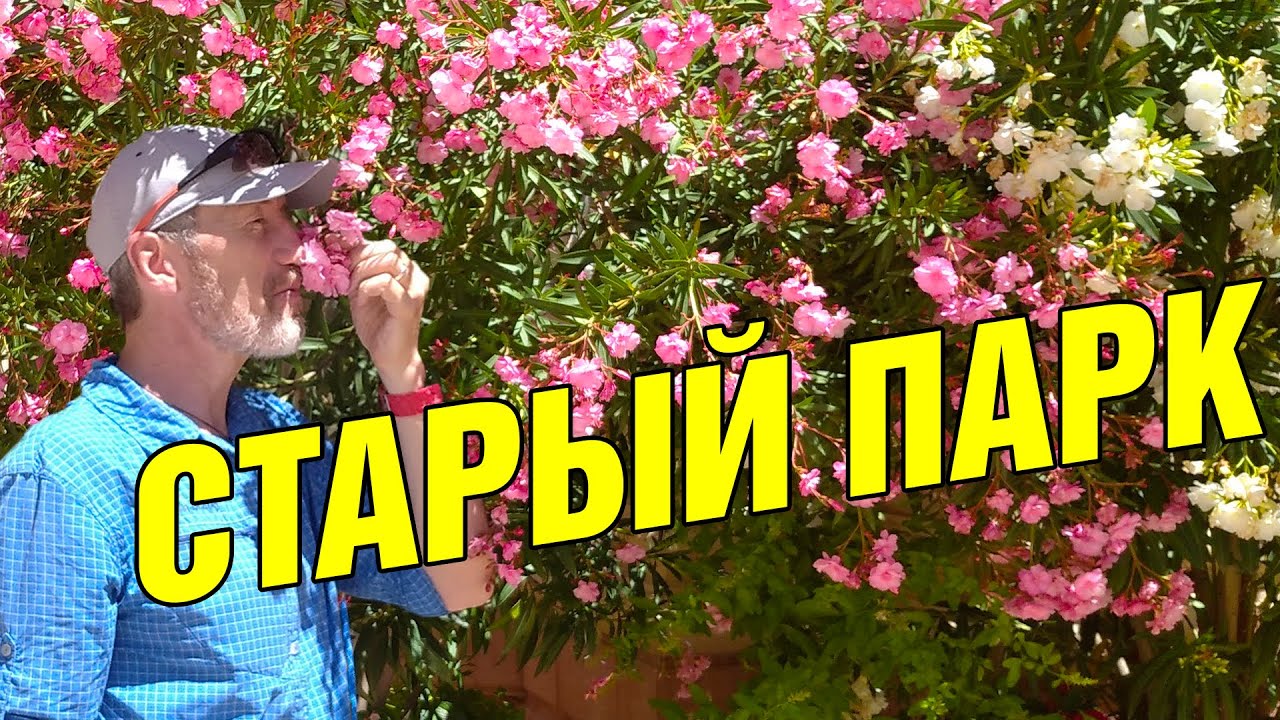 Прогулка по Старому парку. Отдых на море. Кабардинка Геленджик 2021