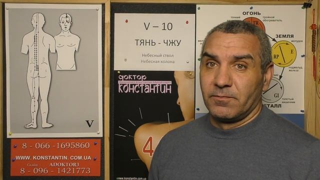 Нервная система человека.