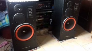 Cerwin Vega E-710 + Yamaha R-S700