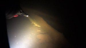 Подводная охота в Смоленской области (Озёрный 2019 г.)