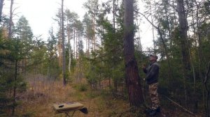 Как изменяются параметры диполя при изменении высоты подвеса? Эксперимент.