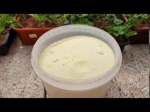 Проливаем пеларгонию желтым кристалоном провоцируя рост корней