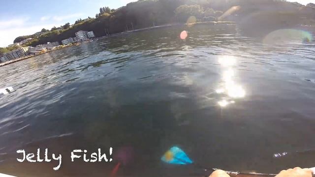 Alki Beach Paddle Boarding #GoPro смотреть онлайн