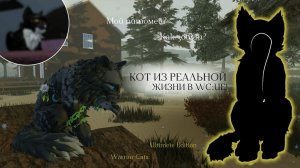 МОЙ КОТ ИЗ РЕАЛЬНОЙ ЖИЗНИ В WC:UE! | Питомец/Повторение | Warrior Cats: Ultimate Edition