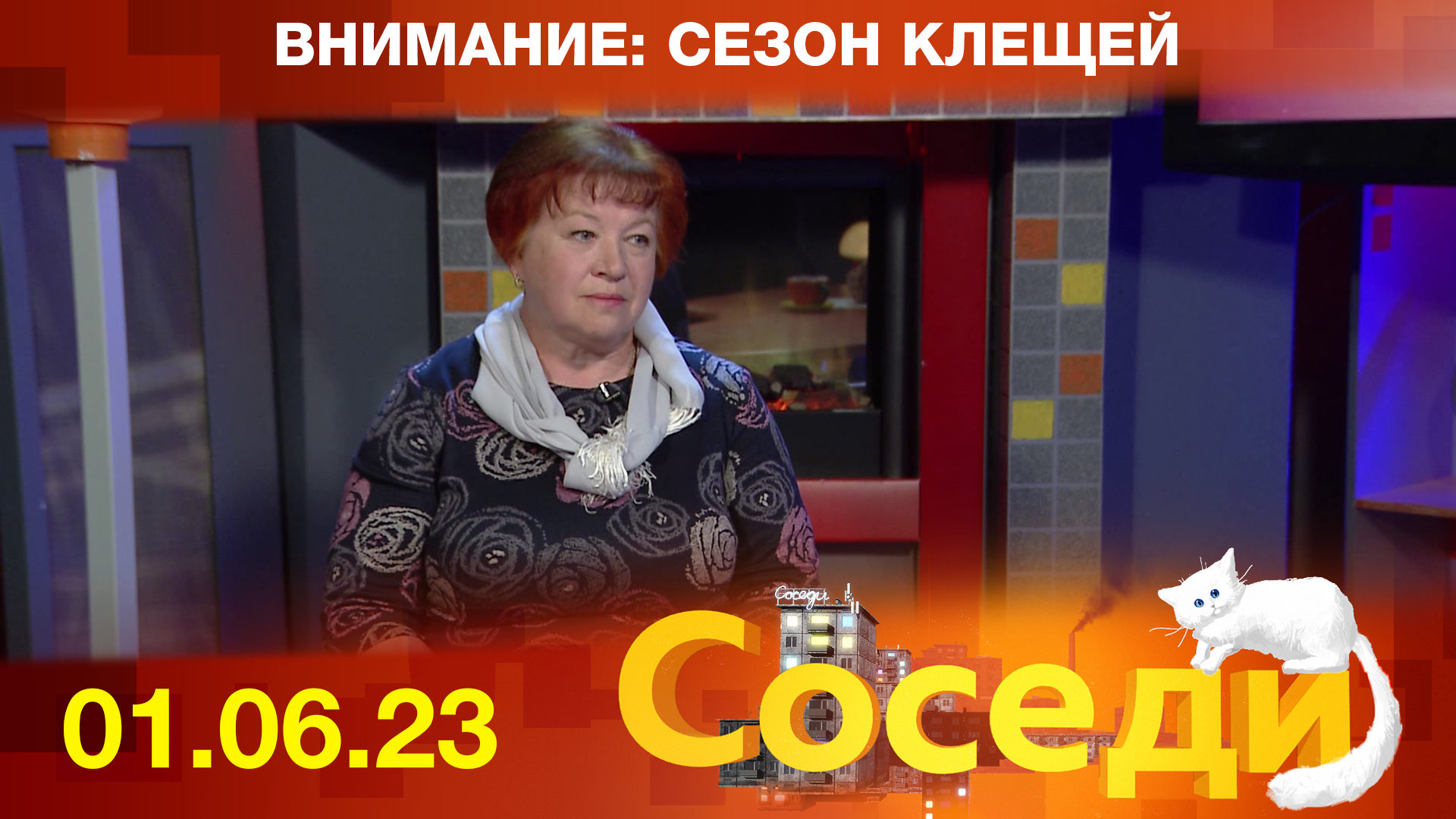 Внимание: сезон клещей. Соседи