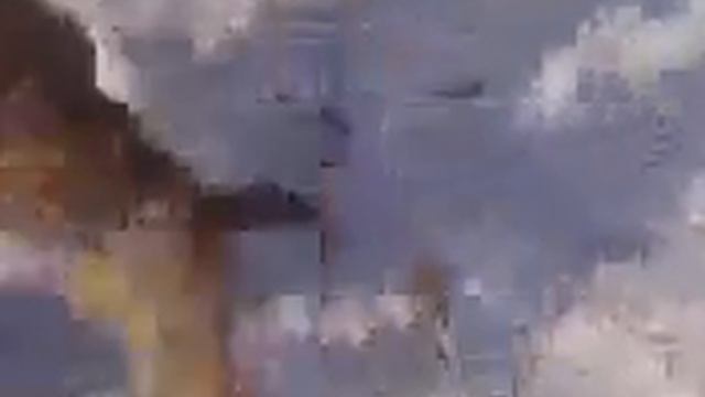 volk protiv sobaki 54459 0 смотреть онлайн