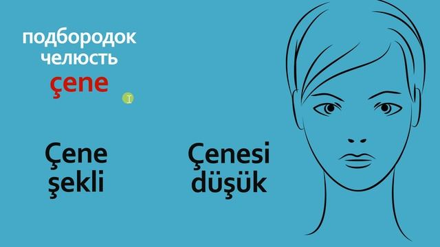ЧАСТИ ТЕЛА на турецком языке
