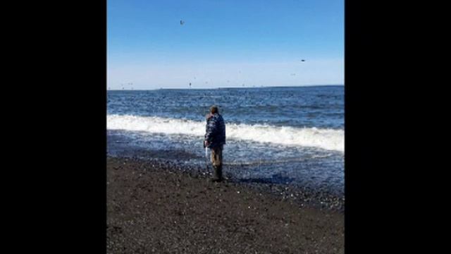 Мы вместе- сила!