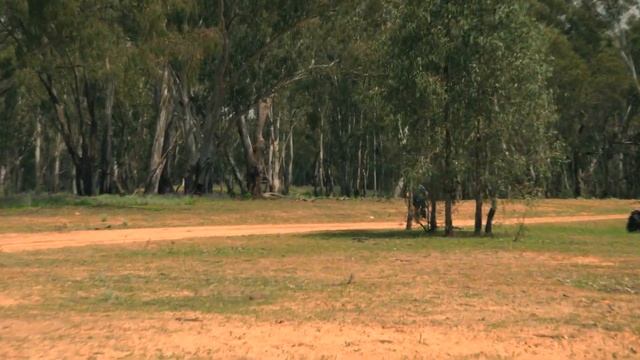 LO QUE NO TE CUENTAN DE AUSTRALIA!! ?? смотреть онлайн