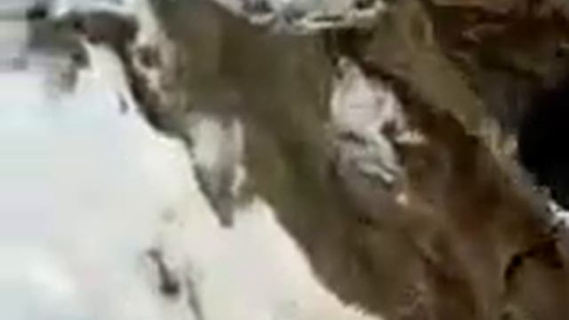 нашли бивень мамонта смотреть онлайн