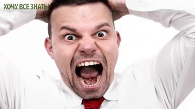 9 СПОСОБОВ КРАСИВО ОТВЕТИТЬ НА ГРУБОСТЬ смотреть онлайн