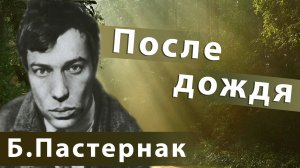 Борис Пастернак - После дождя | Поп-музыка для души