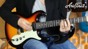 Aria Pro II DM-206