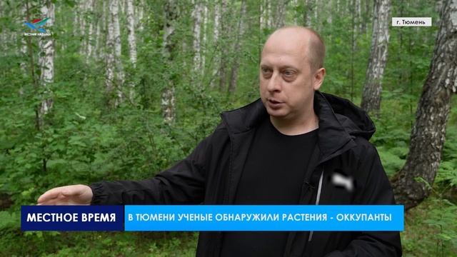 В Тюмени ученые обнаружили растения - оккупанты