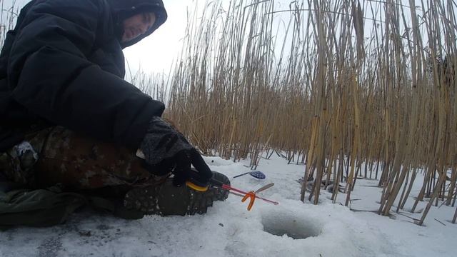 Бешеный клев карася в феврале. Как поймать карася зимой. смотреть онлайн