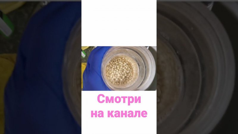 Сажаем микрозелень вместе