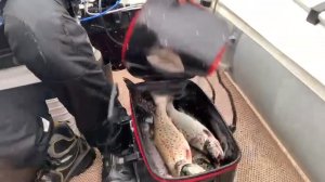 Опасная Лососевая рыбалка на озере "Пяозеро"