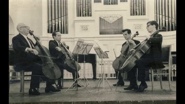 Мастер-класс А. В. Броуна _Интерпретация Концерта для виолончели с оркестром К. Сен-Санса_