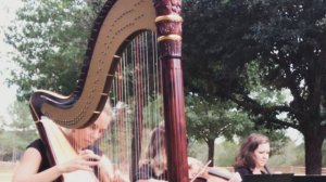 Can't Help Falling In Love - Wedding Ceremony Harp, Violin, Cello - Romantic Wedding @harpandsoul