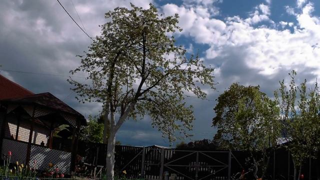 Таймлапс-6. Облака на даче. 27.05.2017 г. смотреть онлайн