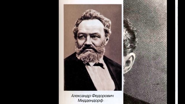 Вейгела Миддедорфа. Обзор и характеристика сорта.#вейгела,#вейгелаМиддедорфа,#обзор. смотреть онлайн