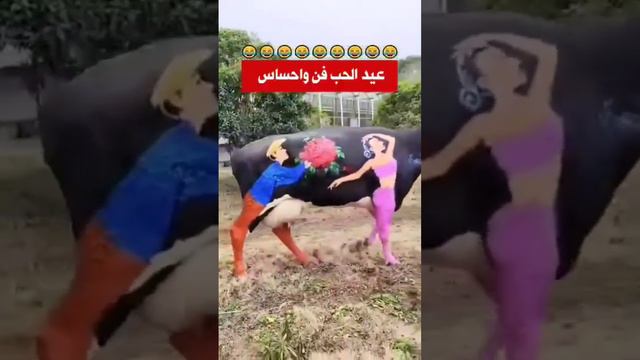 كيف سيكون عيد الفلانتين 😂😂اخر زمن 😂