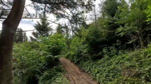 Брошенная невеста с горя пошла сиделкой к парализованному миллионеру, а первой же ночью...