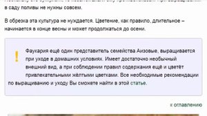 Мезембриантемум: посадка и уход в открытом грунте размножение.