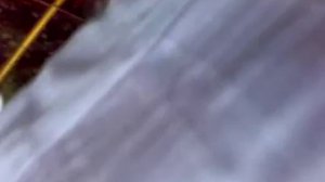 Ураган в Благовещенске