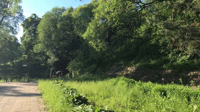 Сергиев Посад 2020: Лавра, СИЗО №8 и другие окрестности смотреть онлайн