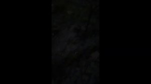 Родник из камня.