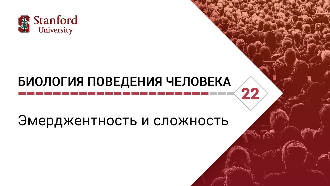 Биология поведения человека_ Лекция #22. Эмерджентность и сложность [Роберт Сапольски. Стэнфорд]