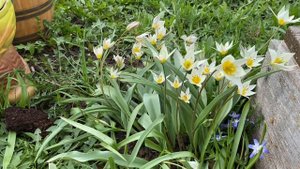 Объявление на личный приём в Сочи