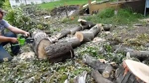 Greenworks 40V 16-Inch Brushless Cordless Chainsaw - Review 2022