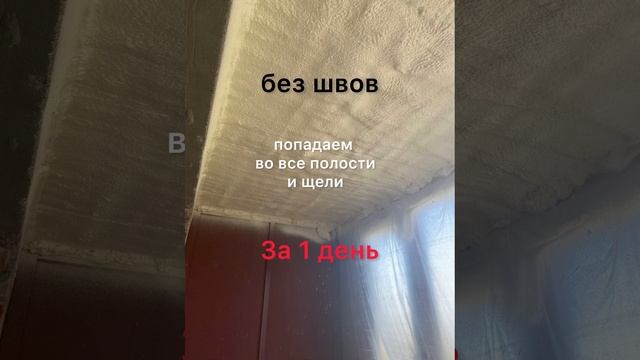 Утепление пеной ппу в Гатчине- 89118183004