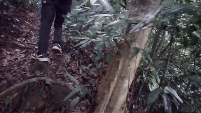 WILDTRAVLER KHAO PHANOM BENCHA NATIONALPARK EXTREAM HIKING UP..... смотреть онлайн