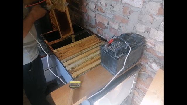 Какие рамки брать для откачки мёда? Обрезка рамок