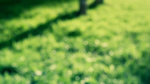 Декор из шишек смотреть онлайн