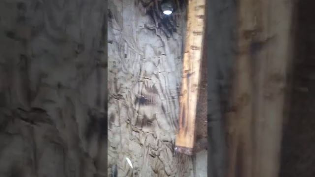 Колода,Борть для пчёл своими руками! смотреть онлайн