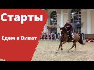 Соревнования. Едем в Виват. Рыжик 20 штрафных.mp4