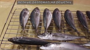 Копчение рыбы в домашних условиях. Как коптить морскую рыбу.
