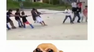 Помошник