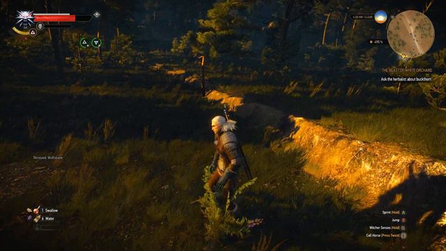 Bring an Old Widow Her Pan -Ep 09 Let's Play: The Witcher 3: Wild Hunt (Blind) смотреть онлайн