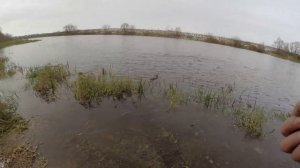 Ловля Окуня на Боковой Кивок Поздней Осенью(Ноябрь) на Блесну. Рыбалка в межсезонье.