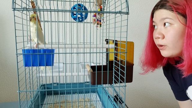 Мне 15 ! как я отпраздновала / подарки смотреть онлайн