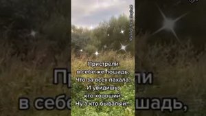 Если ты разок поможешь - то спасибо скажут....