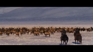 Hedley - Mexico (Django Unchained)