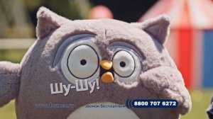Зацикленная реклама сов «Dormeo»